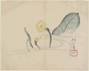 Lotus and a Gold Bug, c. 1830